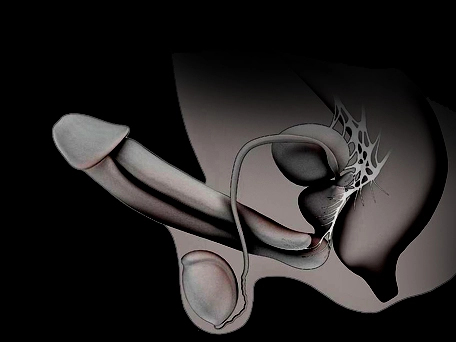 Click Here UltraMassix review no.2